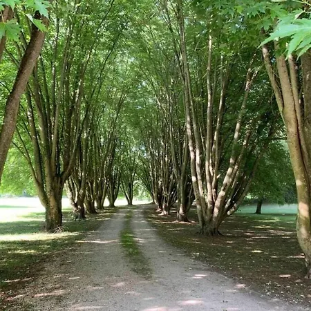 Dans Domaine Avec Piscine Et Clim Ormoy-la-Riviere
